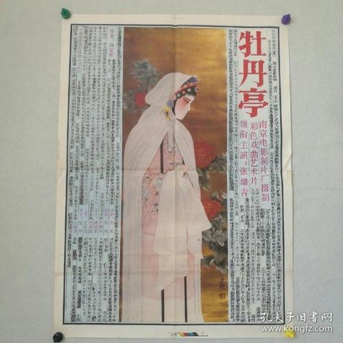 办假的有无违法犯罪记录公证书